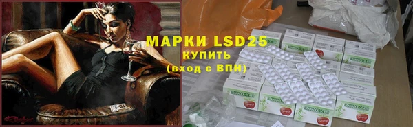 гашик Богданович