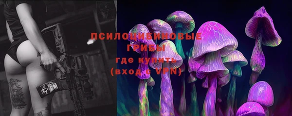 PSILOCYBIN Волосово