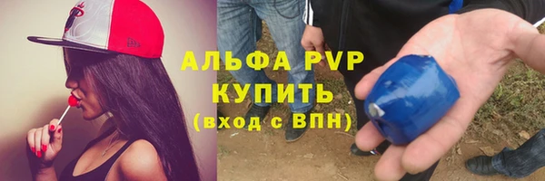 гашик Богданович