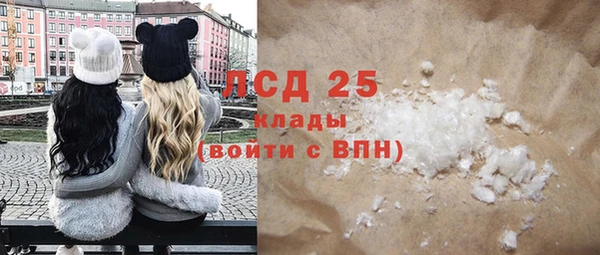 гашик Богданович