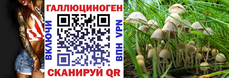 Галлюциногенные грибы ЛСД  blacksprut зеркало  Жердевка 